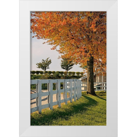 White fences-Keeneland race track-Lexington-Kentucky White Modern Wood Framed Art Print by Jones, Adam