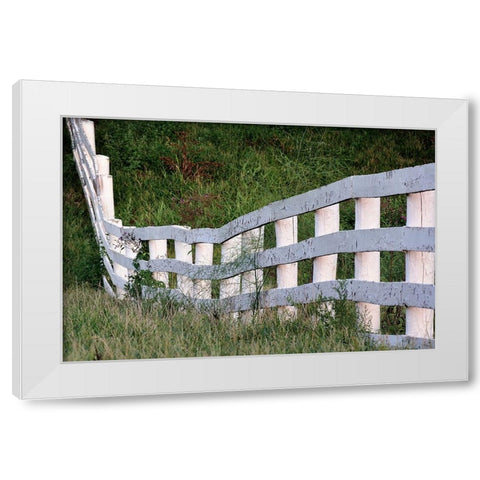 White wooden fence across rolling hill-Shaker Village of Pleasant Hill-Harrodsburg-Kentucky White Modern Wood Framed Art Print by Jones, Adam
