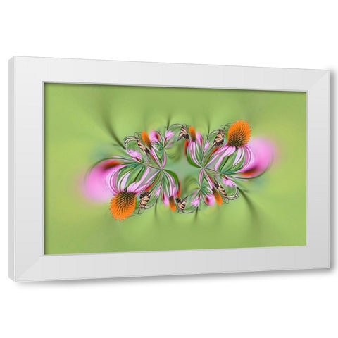 Tiger Swallowtail butterfly on purple coneflower-Kentucky White Modern Wood Framed Art Print by Jones, Adam