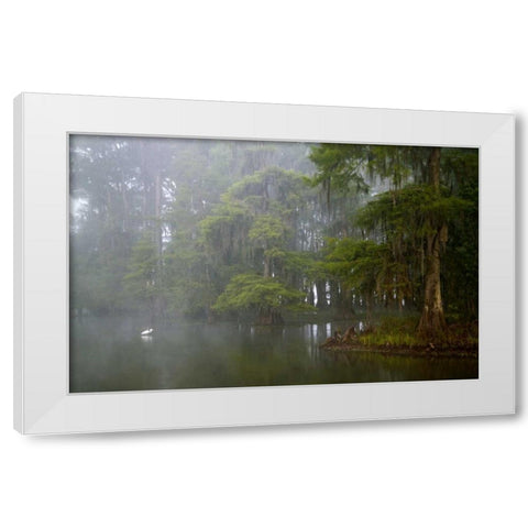Louisiana, Lake Martin Great egret reflection White Modern Wood Framed Art Print by Morris, Arthur