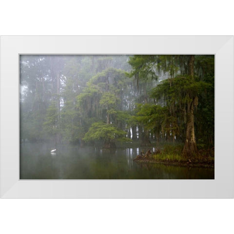 Louisiana, Lake Martin Great egret reflection White Modern Wood Framed Art Print by Morris, Arthur