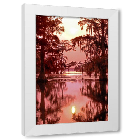 Louisiana Sunset on a Atchafalaya Basin bayou White Modern Wood Framed Art Print by Welling, Dave