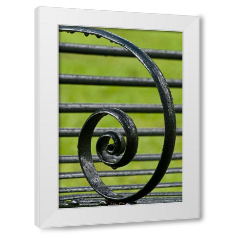 Louisiana, Vacherie Iron bench spiral White Modern Wood Framed Art Print by Kaveney, Wendy