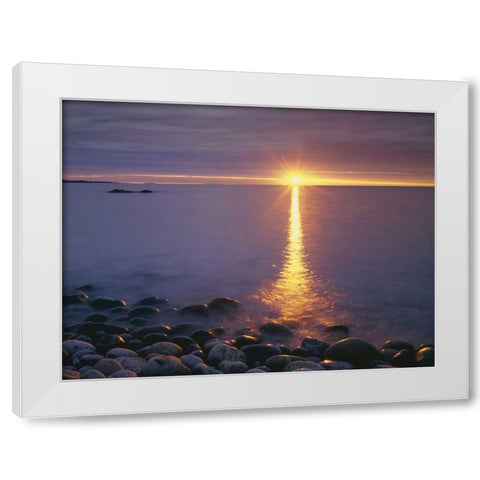 ME, Acadia NP,Â  Sunrise on fog and shore rocks White Modern Wood Framed Art Print by Talbot Frank, Christopher