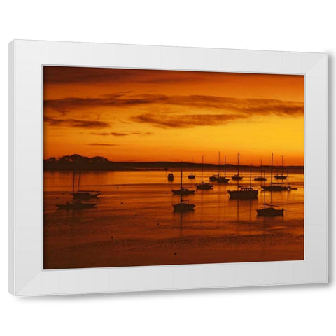 ME, Camden Sailboats silhouetted at sunrise White Modern Wood Framed Art Print by Terrill, Steve