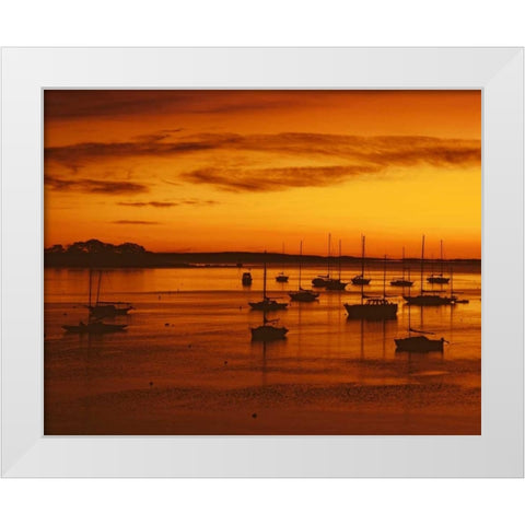 ME, Camden Sailboats silhouetted at sunrise White Modern Wood Framed Art Print by Terrill, Steve