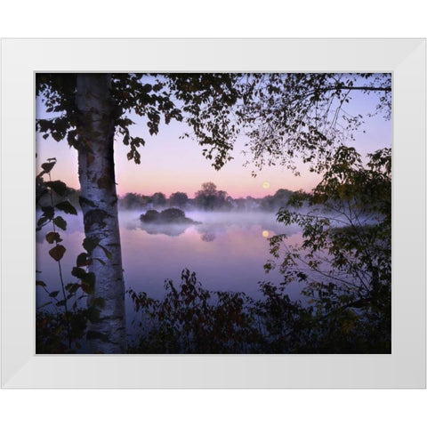 ME, Pittsfield Moonset with fog over Mill Pond White Modern Wood Framed Art Print by Terrill, Steve