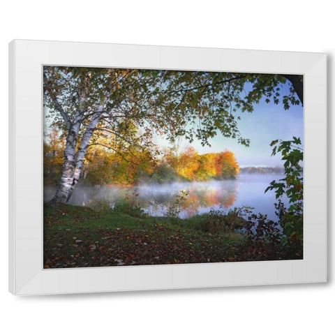 ME, Pittsfield Morning and fog over Douglas Pond White Modern Wood Framed Art Print by Terrill, Steve