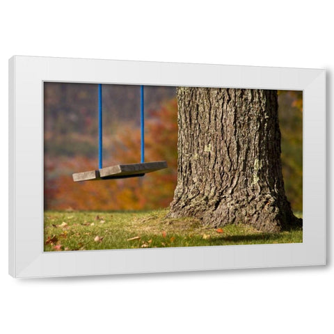 Maine, Bethel A wooden swing hangs from a tree White Modern Wood Framed Art Print by Kaveney, Wendy