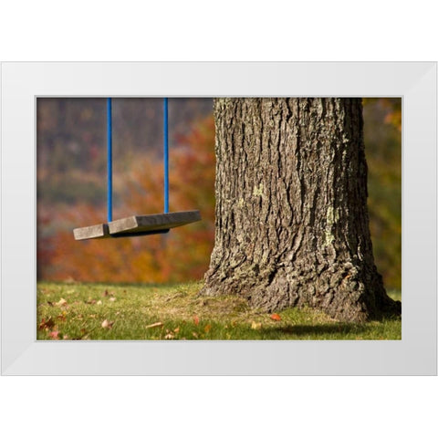Maine, Bethel A wooden swing hangs from a tree White Modern Wood Framed Art Print by Kaveney, Wendy