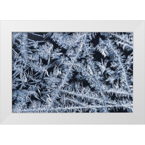 ME, HarpswellIce patterns on a winter window White Modern Wood Framed Art Print by Clemons, Kathleen