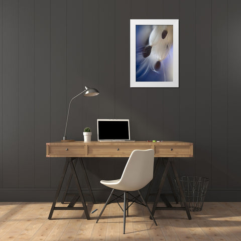 Maine, Harpswell Abstract Milkweed seeds White Modern Wood Framed Art Print by Clemons, Kathleen