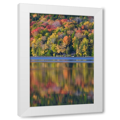 ME, Acadia NP Fall foliage and lake White Modern Wood Framed Art Print by Rotenberg, Nancy