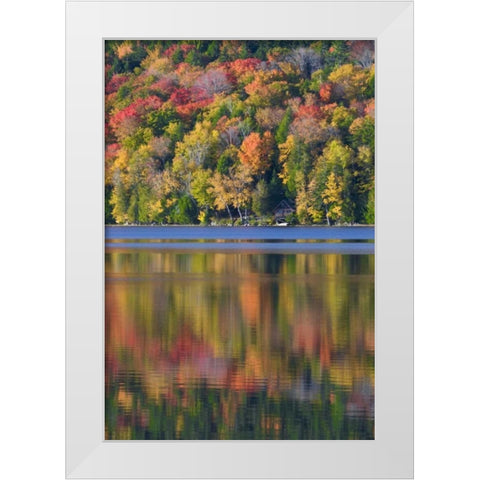 ME, Acadia NP Fall foliage and lake White Modern Wood Framed Art Print by Rotenberg, Nancy