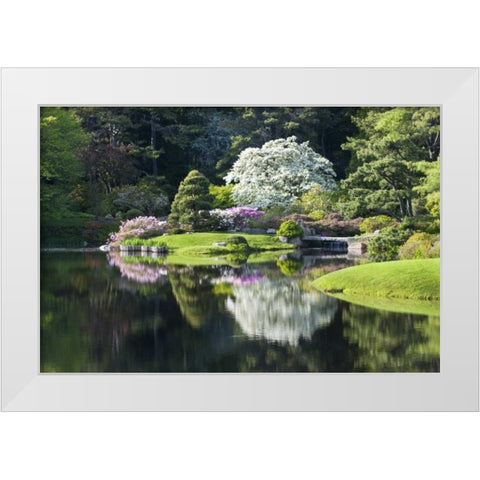 Maine, Northeast Harbor Garden pond scenic White Modern Wood Framed Art Print by Rotenberg, Nancy