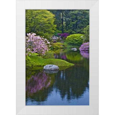 Maine, Northeast Harbor Azalea Garden White Modern Wood Framed Art Print by Rotenberg, Nancy