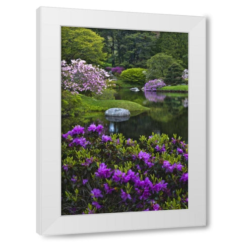 Maine, Northeast Harbor Beautiful Azalea Garden White Modern Wood Framed Art Print by Rotenberg, Nancy