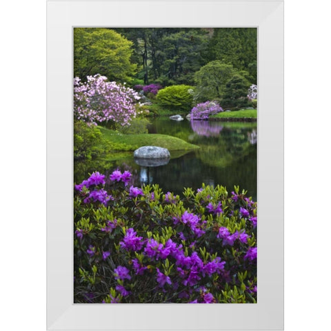 Maine, Northeast Harbor Beautiful Azalea Garden White Modern Wood Framed Art Print by Rotenberg, Nancy