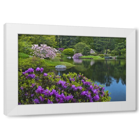 Maine, Northeast Harbor Garden pond scenic White Modern Wood Framed Art Print by Rotenberg, Nancy
