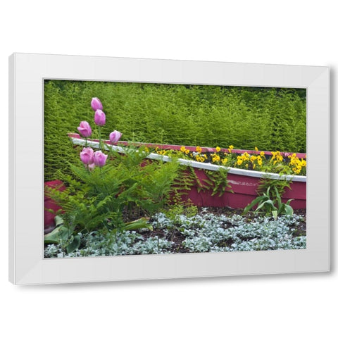 ME, Southwest Harbor Wooden boat used as planter White Modern Wood Framed Art Print by Rotenberg, Nancy