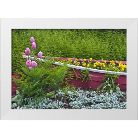 ME, Southwest Harbor Wooden boat used as planter White Modern Wood Framed Art Print by Rotenberg, Nancy