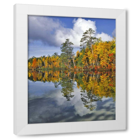 USA, Maine Autumn scenic of Upper Togue Pond White Modern Wood Framed Art Print by Terrill, Steve