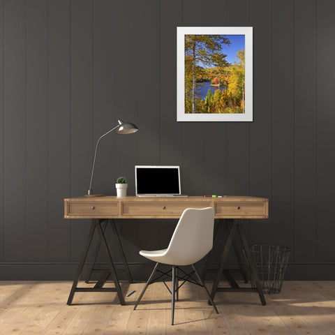 USA, Maine, Bingham Wyman Lake and autumn colors White Modern Wood Framed Art Print by Terrill, Steve