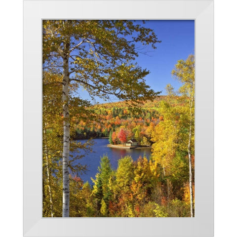 USA, Maine, Bingham Wyman Lake and autumn colors White Modern Wood Framed Art Print by Terrill, Steve