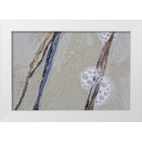 USA, Maine, Pine Point Sea weed between waves White Modern Wood Framed Art Print by Delisle, Gilles
