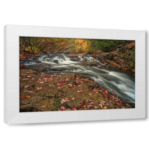 USA-Maine-Acadia National Park Stream rapids in forest White Modern Wood Framed Art Print by Jaynes Gallery