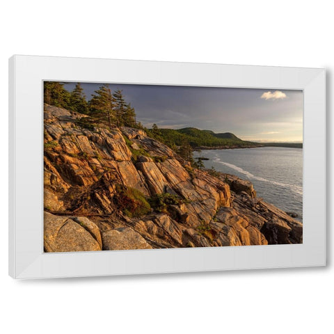 Otter Cliffs at sunrise in Acadia National Park-Maine-USA White Modern Wood Framed Art Print by Haney, Chuck