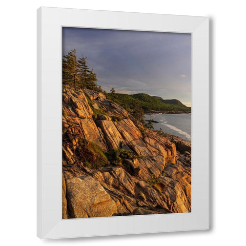 Otter Cliffs at sunrise in Acadia National Park-Maine-USA White Modern Wood Framed Art Print by Haney, Chuck