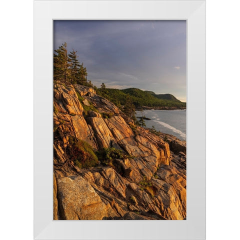 Otter Cliffs at sunrise in Acadia National Park-Maine-USA White Modern Wood Framed Art Print by Haney, Chuck