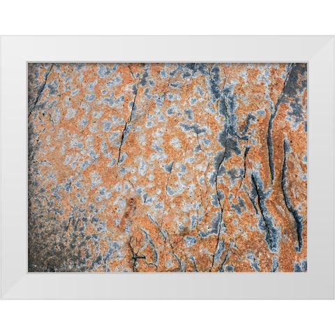 Maine Patterns on rock on the beach near Thunder Hole in Acadia National Park White Modern Wood Framed Art Print by Eggers, Julie