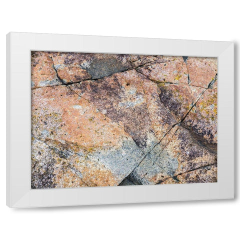 Maine Patterns on rock on the beach near Thunder Hole in Acadia National Park White Modern Wood Framed Art Print by Eggers, Julie