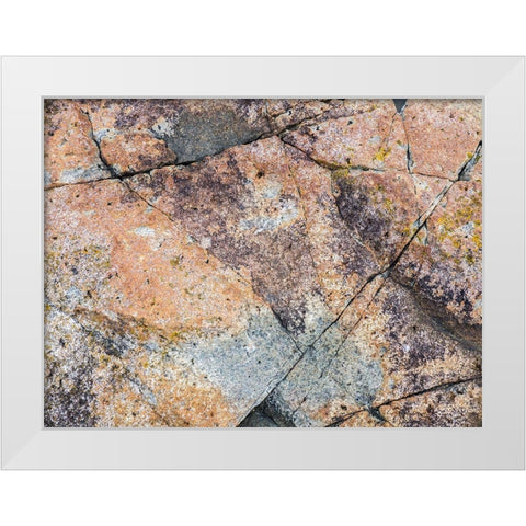 Maine Patterns on rock on the beach near Thunder Hole in Acadia National Park White Modern Wood Framed Art Print by Eggers, Julie