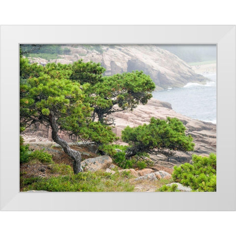 Maine Otter Cliffs and the Atlantic Ocean in Acadia National Park White Modern Wood Framed Art Print by Eggers, Julie