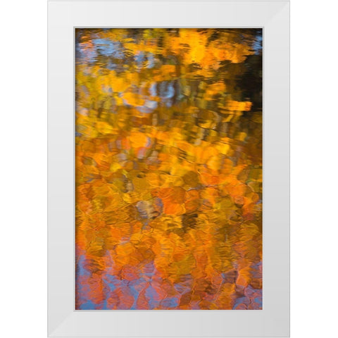 Maine Abstract reflections in a pond in Acadia National Park White Modern Wood Framed Art Print by Wells, Joanne