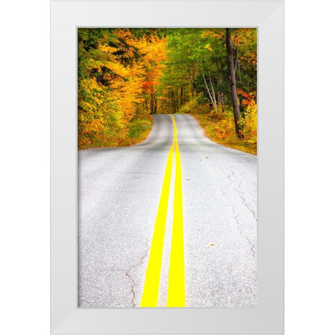 USA-Maine-Highway 113 lined by Maple and Birch trees in full Autumn color White Modern Wood Framed Art Print by Gulin, Sylvia