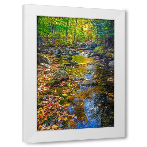 USA-New England-Maine Autumn and stream just off of Wild River Road White Modern Wood Framed Art Print by Gulin, Sylvia