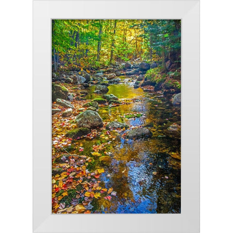 USA-New England-Maine Autumn and stream just off of Wild River Road White Modern Wood Framed Art Print by Gulin, Sylvia