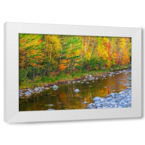 USA-New England-Maine-Wild River-reflections of Autumn colors in small river White Modern Wood Framed Art Print by Gulin, Sylvia