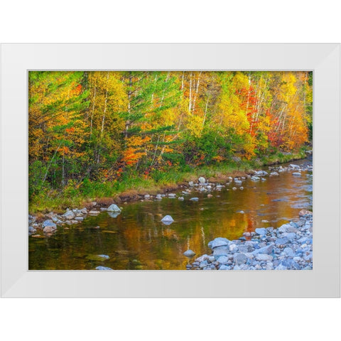 USA-New England-Maine-Wild River-reflections of Autumn colors in small river White Modern Wood Framed Art Print by Gulin, Sylvia