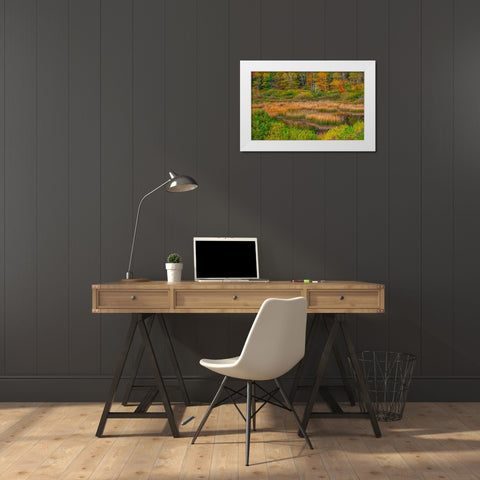 USA-New England-Maine-Mt-Desert Island-Acadia National park with lily pads in small pond with golde White Modern Wood Framed Art Print by Gulin, Sylvia