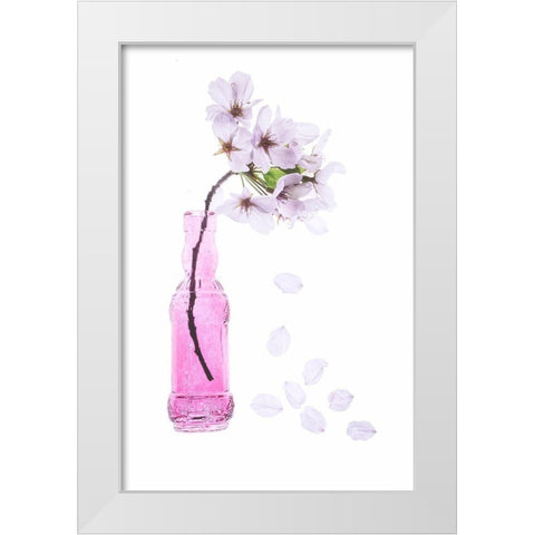 Maryland-Bethesda Pink vase with cherry blossoms White Modern Wood Framed Art Print by Looney, Hollice