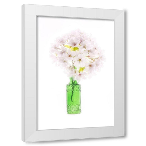 Maryland-Bethesda Green vase with cherry blossoms White Modern Wood Framed Art Print by Looney, Hollice