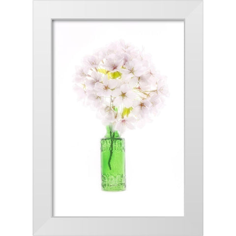 Maryland-Bethesda Green vase with cherry blossoms White Modern Wood Framed Art Print by Looney, Hollice