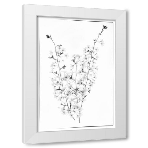 Maryland-Bethesda Cherry blossoms in black and white White Modern Wood Framed Art Print by Looney, Hollice