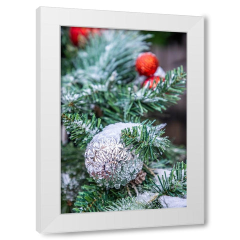 USA-Maryland-Bethesda-First snowfall on Holiday decoration White Modern Wood Framed Art Print by Looney, Hollice