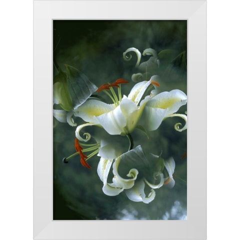 NY, Slingerlands Abstract of lily bouquet White Modern Wood Framed Art Print by Noble Gardner, Nancy